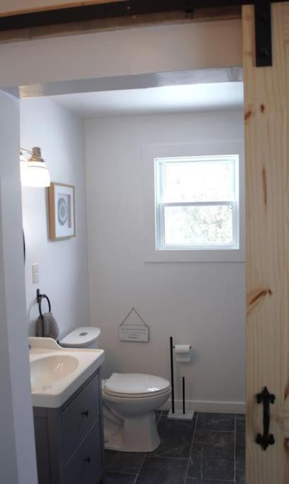 Private Cottage With Huge Private Dog Park! Barrys Bay المظهر الخارجي الصورة